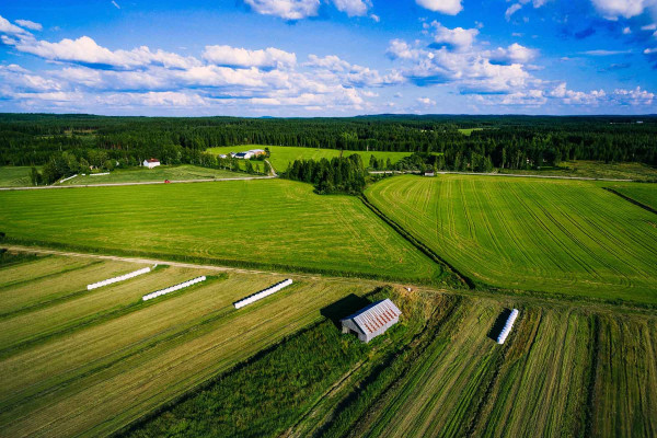 Segregar Fincas · Topógrafos para Servicios Topográficos y Geomáticos Canals